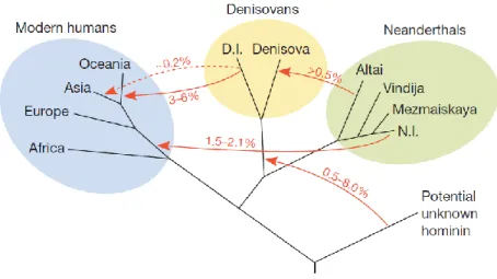 Figure 3.  UN MODELE POSSIBLE DES FLUX DE GENES A LA FIN DU PLEISTOCENE 