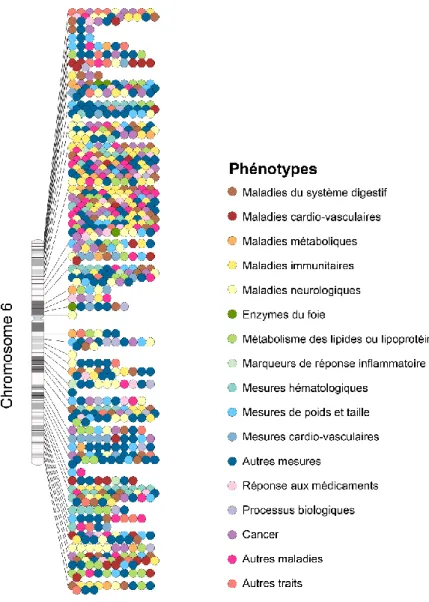 Figure 4.  TRAITS ASSOCIES A DES VARIANTS GENETIQUES SUR LE CHROMOSOME 6.  