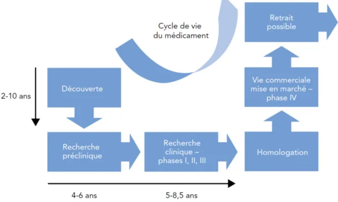 Figure 1. Cycle de vie du médicament 
