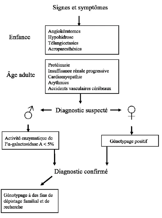 Figure  1. Présentation  clinique  de la maladie  de Fabry et approche  diagnostique 