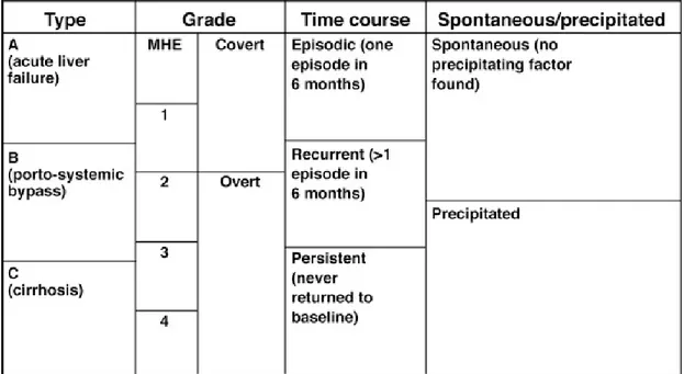 Table 1:  Classification of HE 