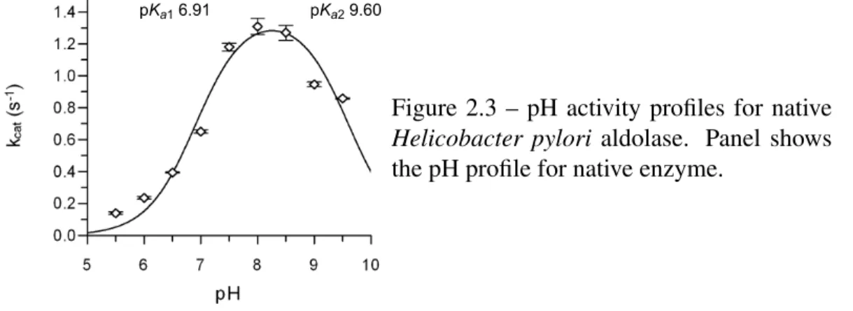 Figure 2.3 – pH activity profiles for native Helicobacter pylori aldolase. Panel shows the pH profile for native enzyme.