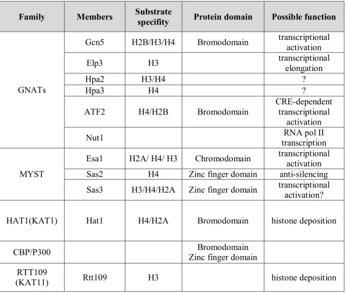 Table  2:  Different  families  of  histone  acetyltransferase  in  S.  cerevisiae.  HAT  families  along with their associated members, histone substrates, and protein domains in S