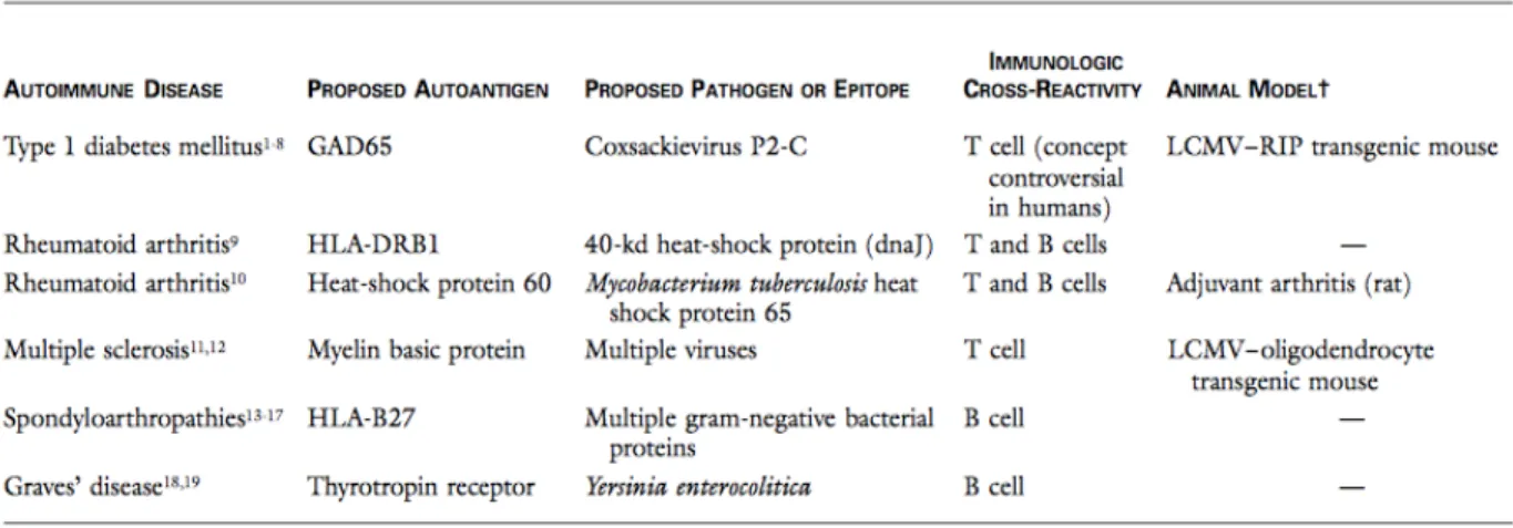 Tableau  1 :  Exemples  proposés    de  mimétisme  moléculaire  en  association  avec  certains  maladies auto-immunes (Albert and Inman 1999)