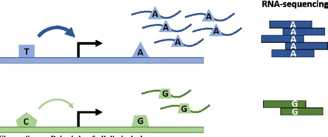 Figure 8.  Principle of allelic imbalance 