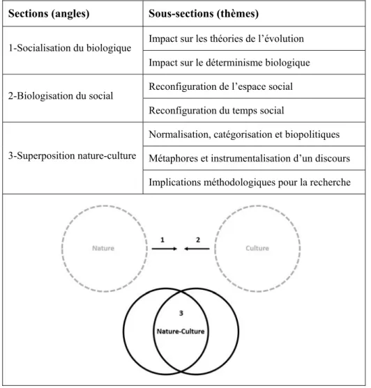 Tableau 2. Structure de la revue de littérature (partie A) 