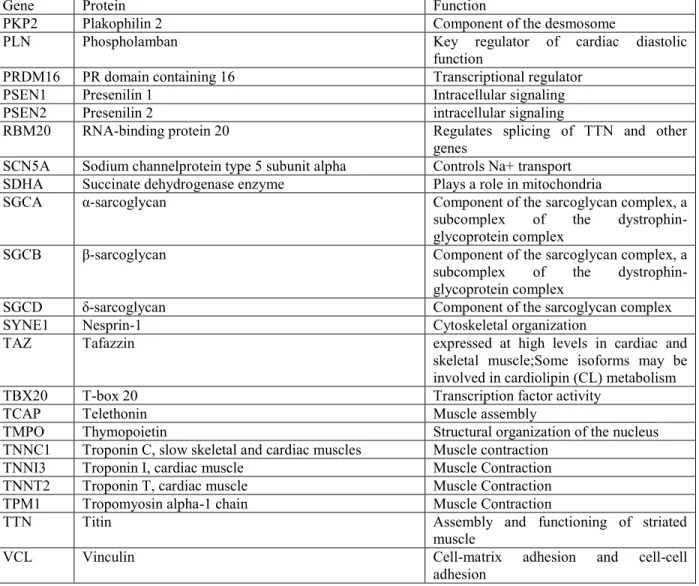 Table 1.1. The 59 genes that are implicated or posited to be implicated in DCM and a brief description of their 