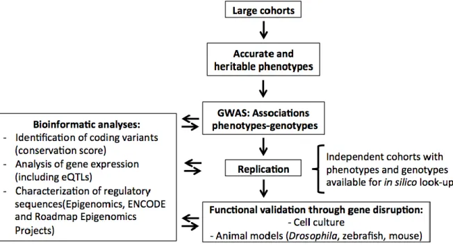 Figure 1.8. Ideal study design to identify SNPs associated with human complex traits and diseases 