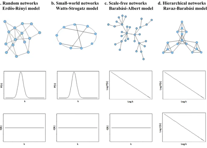 Figure 1.4. Network models. 