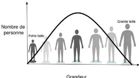 Figure 1.2: La taille est un exemple de trait quantitatif complexe classique. La distribution  du phénotype suit une distribution normale, ce qui est caractéristique des traits complexes
