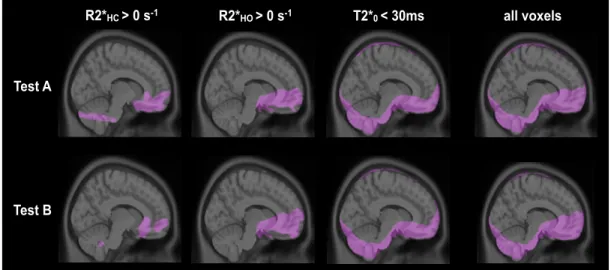 Figure  2.3  shows  sagittal  group-averaged  maps  of  voxels  excluded  from  the  ROI  analysis given that they were considered as non-parenchymal or dominated by susceptibility  artifacts, based on individual ∆R2* HC , ∆R2* HO  and T 2 * 0 