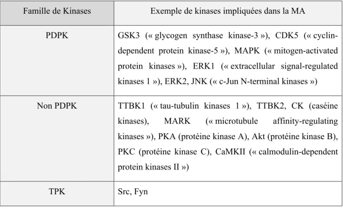 Tableau I.  Liste des kinases principalement impliquées dans la phosphorylation aberrante de  Tau dans la MA 