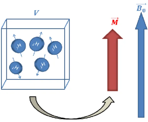 Figure 1: Graphical representation of the magnetization vector  