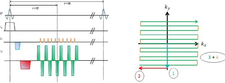 Figure 13: Left – Pulse sequence diagram depicting GRE echo-planar imaging (EPI). Right – Corresponding k- k-space trajectory