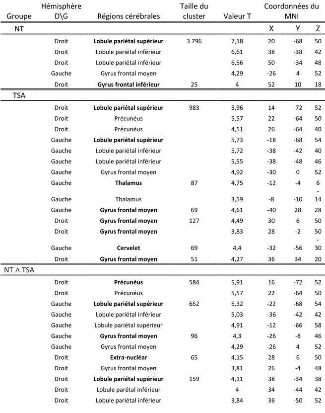 Tableau  4.  Tableau  présentant  les  activations  propres  à  chaque  groupe,  ainsi  que  les  régions  communément  activées  entre  les  groupes,  pour  le  maintien  des  informations  (contraste binding contrôlé – binding automatique)