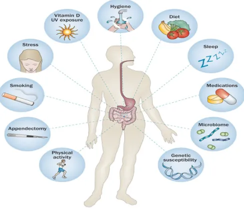 Figure 4: The interaction between genetics, immunology, environment and microbiome.  
