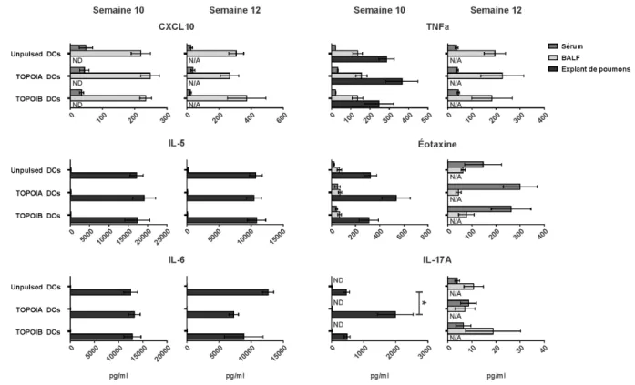 Figure  7.  La  fibrose  pulmonaire  observée  dans  le  modèle  est  précédée  d’une  phase  inflammatoire  caractérisée entre autres par une augmentation spécifique de l’IL-17A