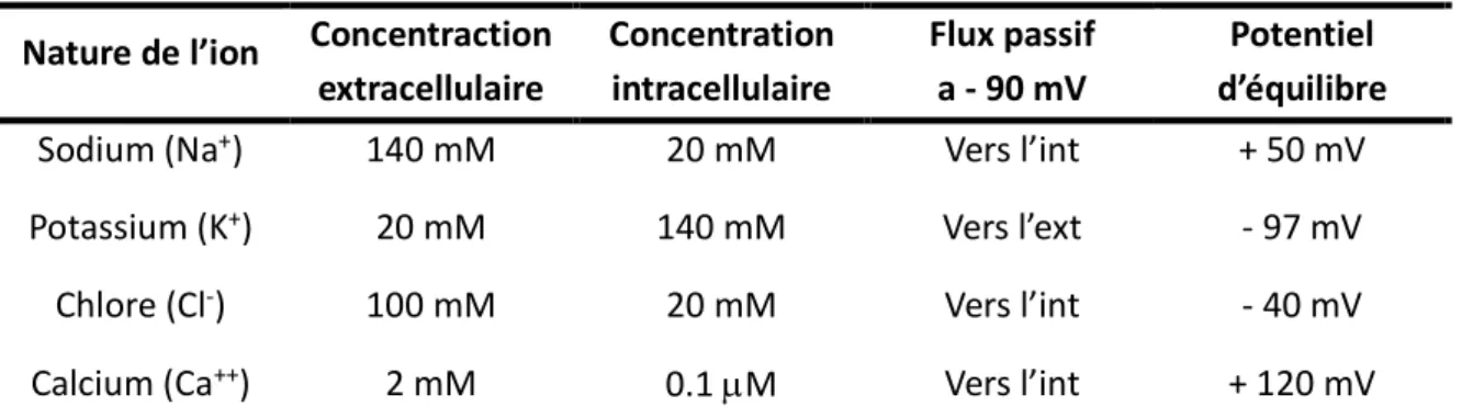 Tableau I: Composition générale des ions à l'intérieur et à l'exterieur de la cellule ainsi que leur  potentiel d'équilibre selon l'équation de Nernst