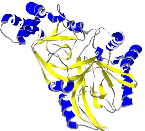 Fig. 10. 3-D ribbon representation of Vip2 (1QS1) 