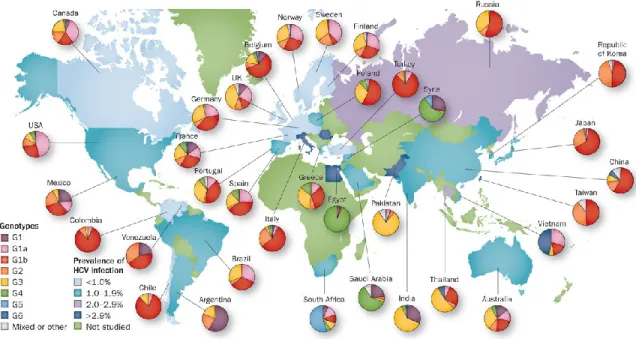 Figure 1.  Worldwide estimated prevalence of HCV and genotype distribution  