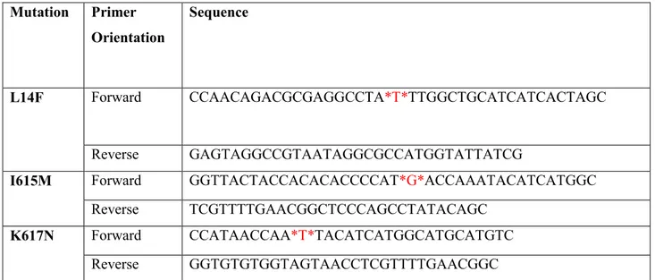 Table I. Generation of single point mutations within HCV NS3 