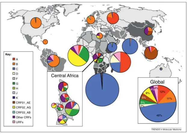 Figure 1: Distribution des sous-types et des formes recombinantes du VIH-1 à travers le monde  de 2004 à 2007