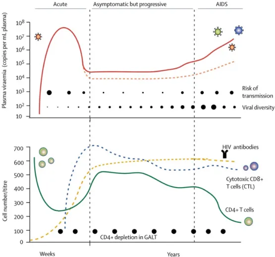 Figure 5:  Évolution de l’infection à VIH-1 