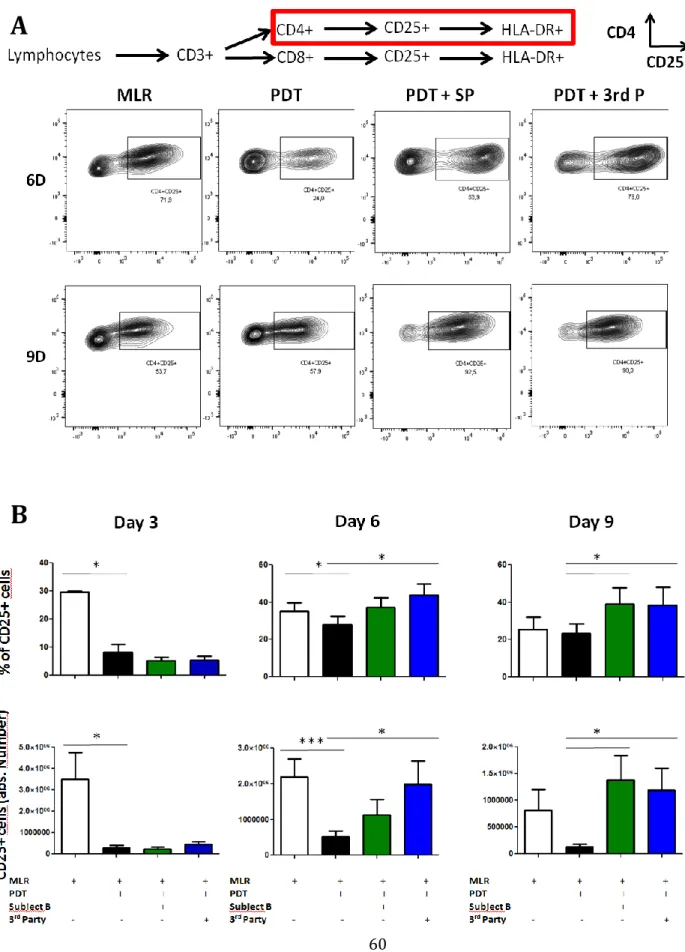 Figure 2: Restimulated PD CD4+ lymphocytes display activated phenotype 