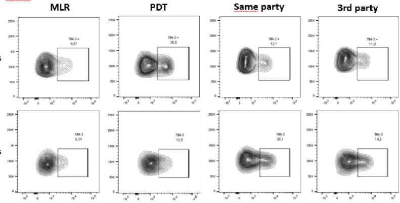 Figure 4: Prolonged stimulus possibly leads to exhaustion of restimulated PD cells 