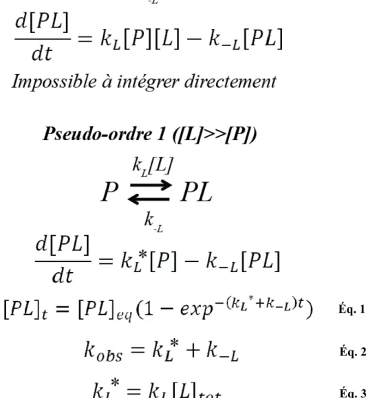 Figure 3.  Approximation cinétique de pseudo-premier ordre.  (Haut)  Schéma réactionnel  et loi de vitesse pour un processus de liaison réversible d'ordre 2