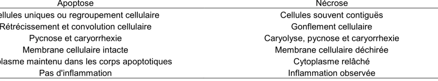 Table I. Comparaisons des caractéristiques morphologiques entre l'apoptose et la nécrose