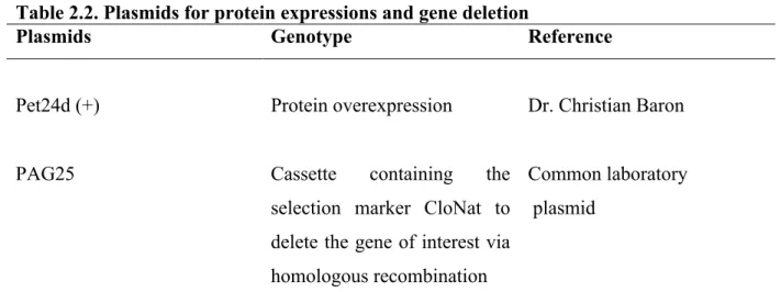 Table 2.2. Plasmids for protein expressions and gene deletion 