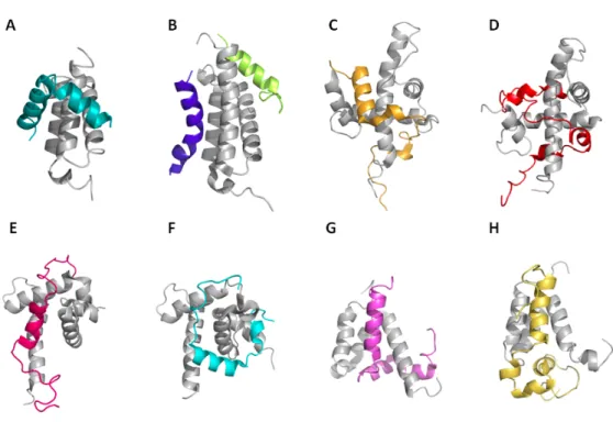 Figure  9 :  Structures  des  différents  domaines  de  CBP  (TAZ1,  TAZ2,  KIX  et  IBiD)  en  complexe avec différents TAD de facteurs de transcription 