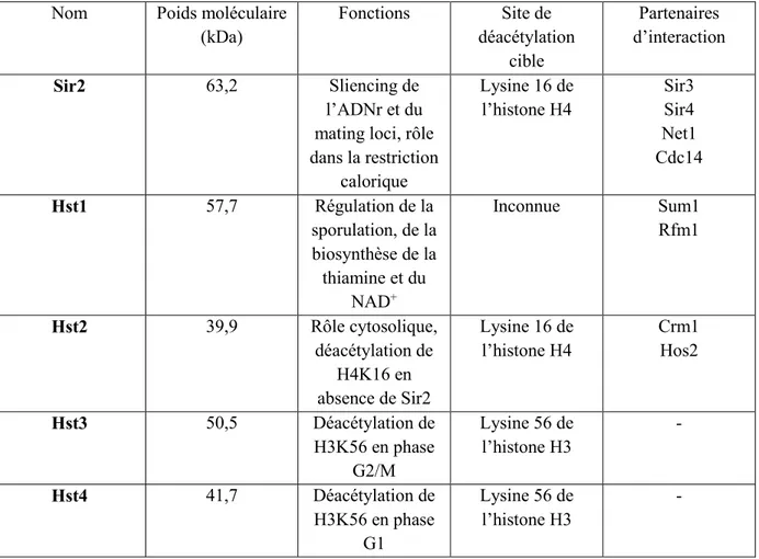 Tableau  1  Liste  et  fonctionnalité  des  sirtuines  de  la  levure  Saccharomyces  cerevisiae  (69,76,80,146) 