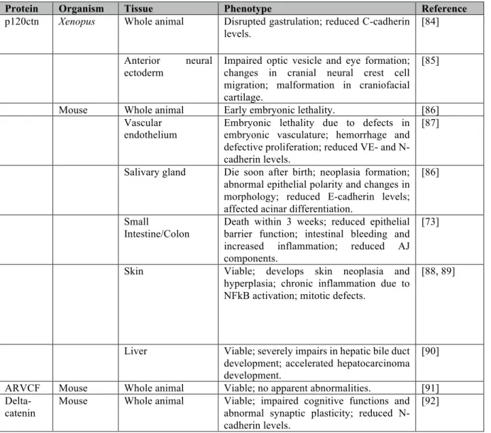 Table 1: Effects of knockout and knockdown of p120ctn and related family members in  different species
