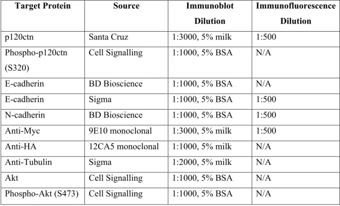 Table  3:  Antibodies  used  in  this  study  for  immunoblots  and  immunofluorescence     experiments