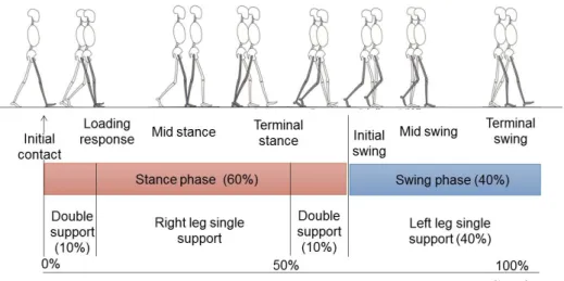 Figure 2-1.  Schematic illustration of  gait phases in human gait cycle based on the Ranchos 