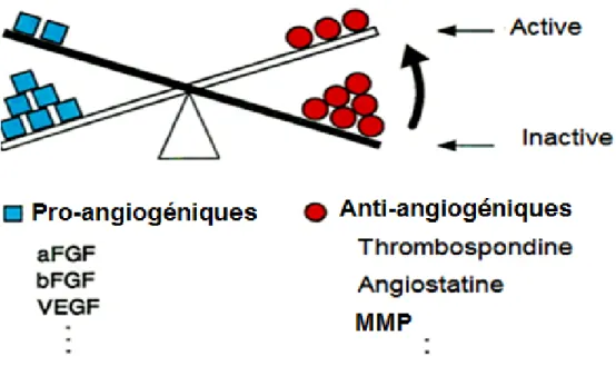 Figure 8: Balance angiogénique 