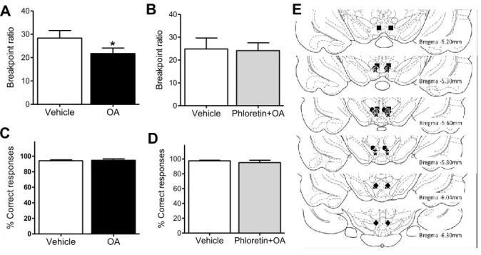 Figure  2.  Oleate  blunts  the  rewarding  effects  of  high-fat/sugar  food.  (A)  Intra-VTA 