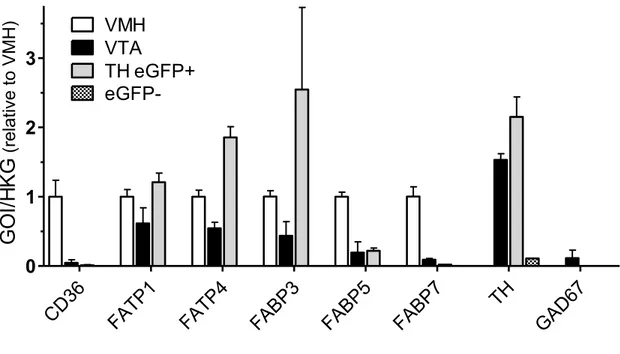Figure  4.  Gene  expression  profile  of fatty  acid  handling  proteins  in dopamine  neurons  and VTA