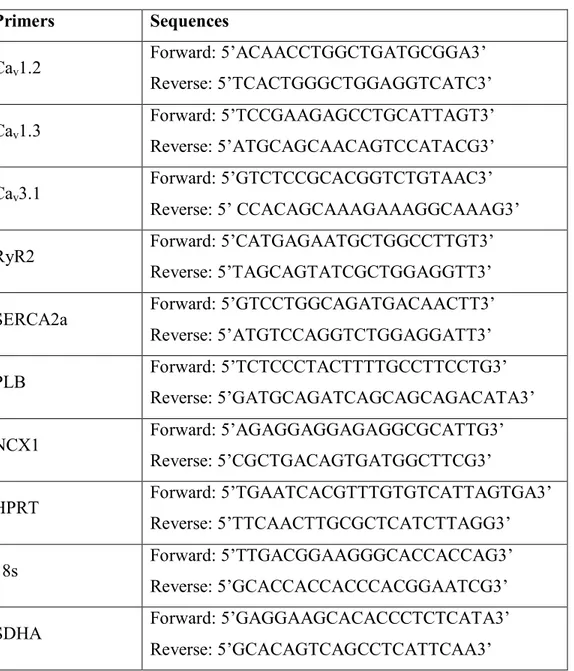 Table 1. Primer List 