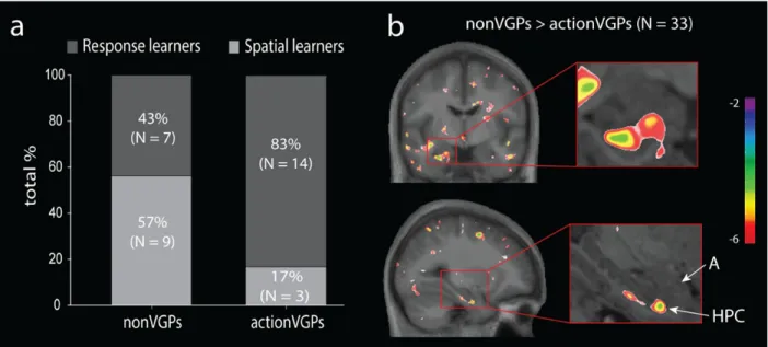 Fig.  1.  a)  Increased  use  of  the  response  navigation  strategy  in  habitual  actionVPGs  when 