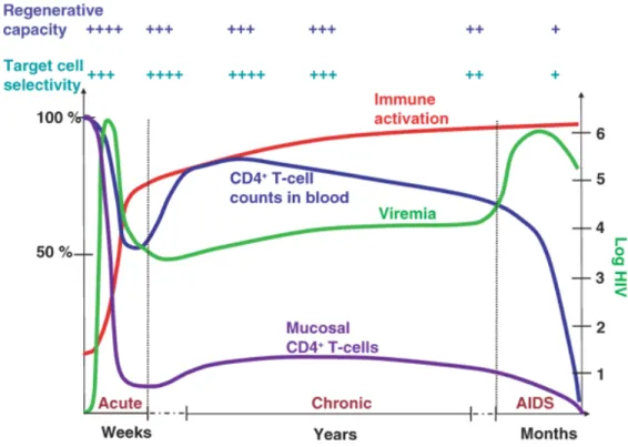 Figure 4: The clinic phases of HIV-1 pathogenesis.  Shown are the three major clinical phases of 