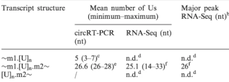 Table 1. Non-encoded U-tract length of mt-LSU rRNA and its precursor transcripts a
