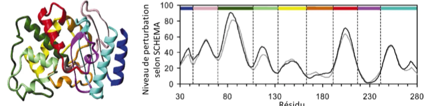 Figure 1.8. Profil de perturbation des protéines TEM-1 et PSE-4 selon  l’algorithme SCHEMA