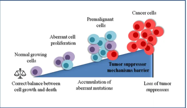 Figure 1.1: Progression to malignant transformation. 