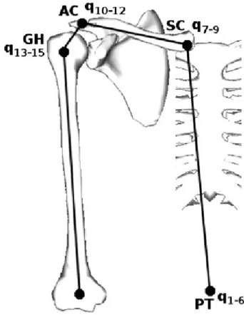 Figure 3: Chaîne cinématique en boucle ouverte avec trois degrés de liberté en rotation à chacune des  articulations sterno-claviculaire (SC), acromio-claviculaire (AC) et gléno-humérale (GH) du modèle de 