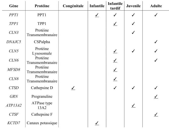 Tableau 1.3.1.2.3 : Corrélation génotype-phénotype dans les NCLs 