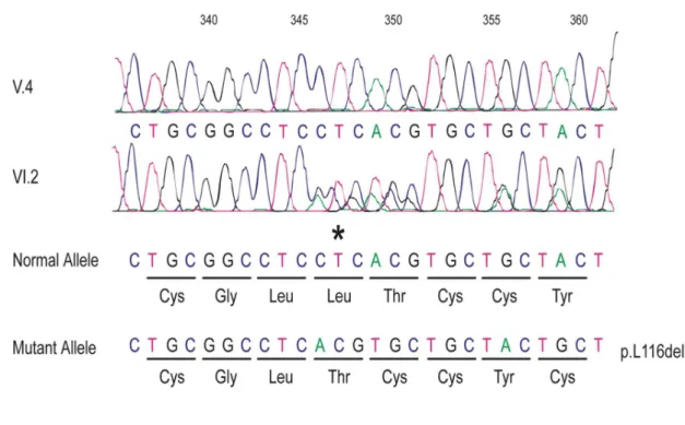 Figure  1:  Pedigree  of  the  American  families.  A.  Pedigree  of  the  Parry  family  (Kufs1):  Samples with an asterisk (*) were used for Next Generation Sequencing