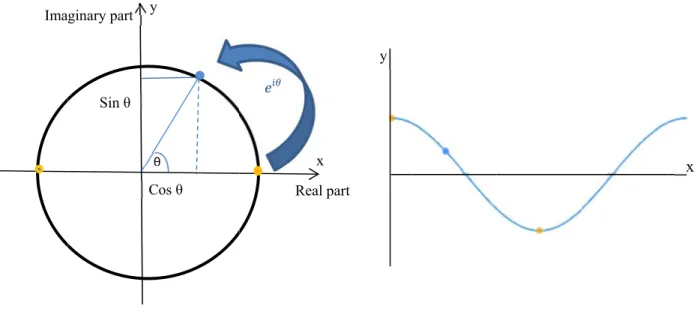 Figure 7. polar coo (real part cosine (re vector in  Left ve Similar  the pha circle. A mean am cycles r B efficienIma  The simulatio ordinate systemt)
